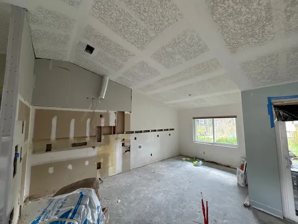In Progress - Remodeling Stage 1